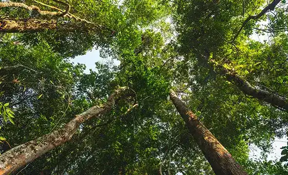 <img width="200" alt="Reasons sustainability 4" src="https://www.culligan.se/wp-content/themes/culligan-emea/img/four-reasons-module//reasons-sustainability-4.webp" /> Reasons sustainability 4