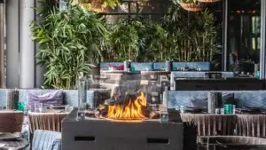 Världens första restaurang som uppmärksammats av FN för sin CO2-reduktion
