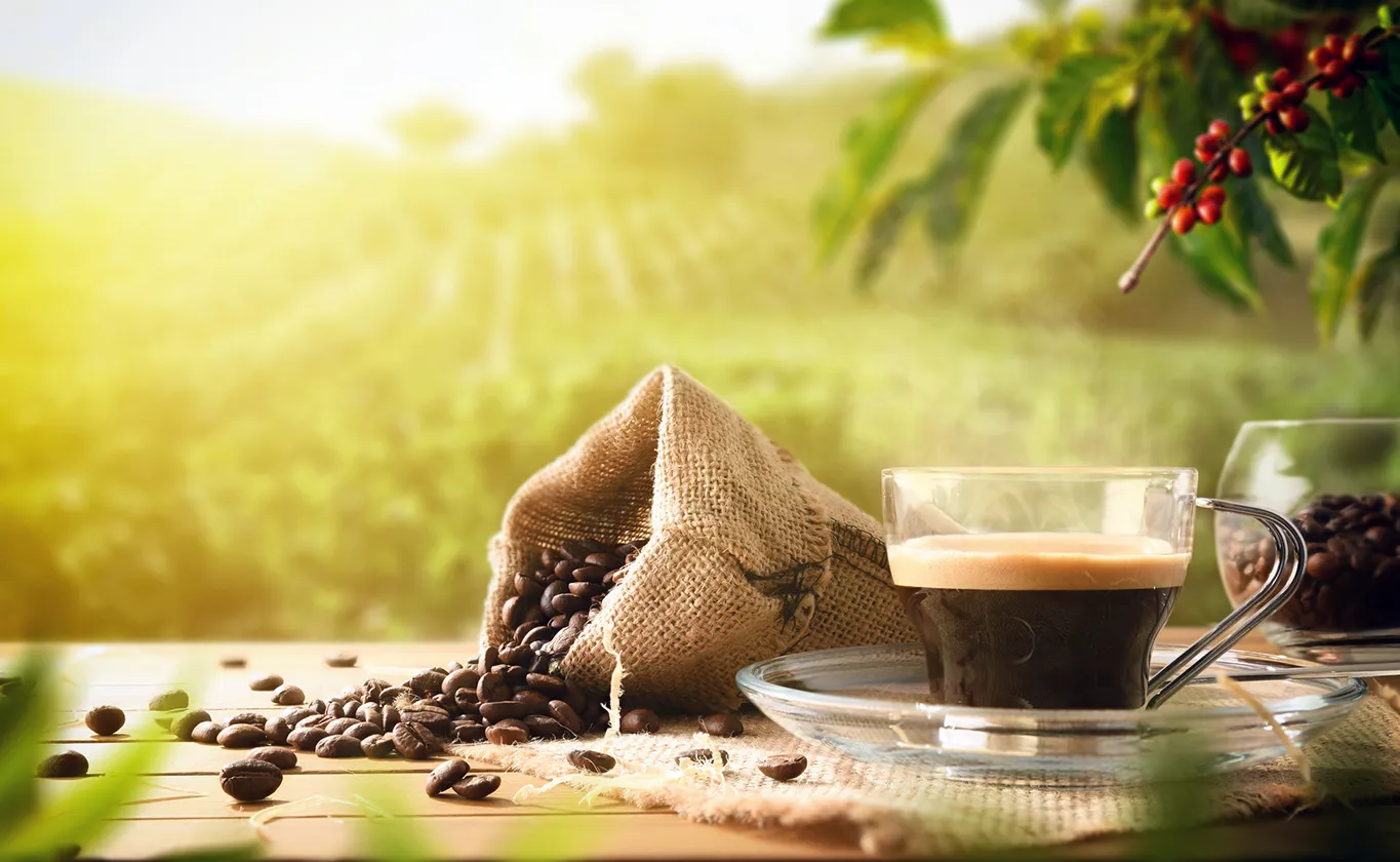 Svanenmärkt kaffetjänst